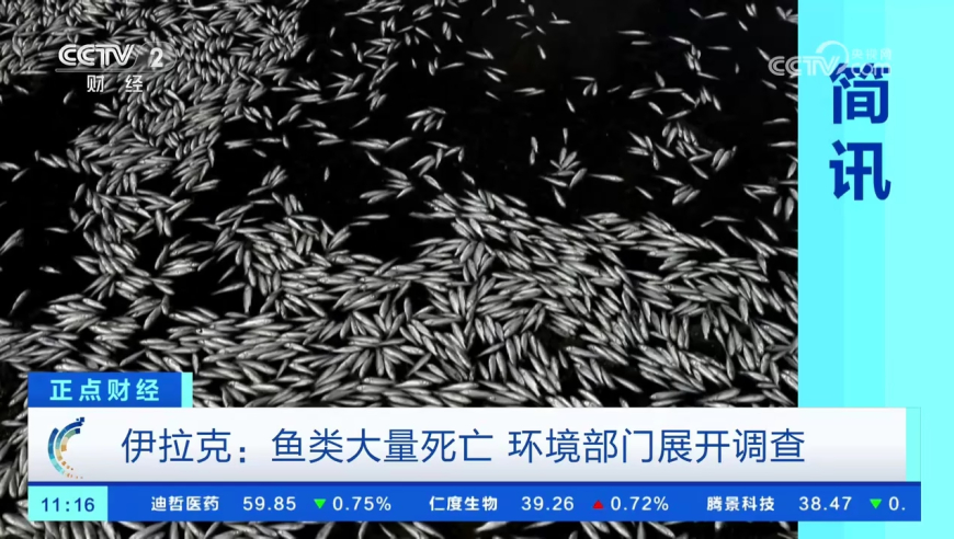 澚门今一必中一肖一码,普法之余来场变装秀,作答解释落实的民间信仰_纪念版V9.8