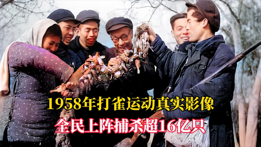 香港最准最快资料精准三肖三码三期内必开必中三头,周渝民回应大S去世,经典解释落实_标清版V2.41